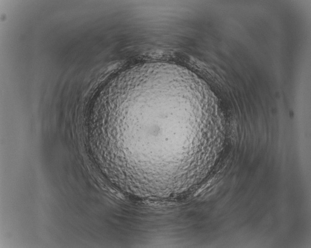 X0000076431105200610271726