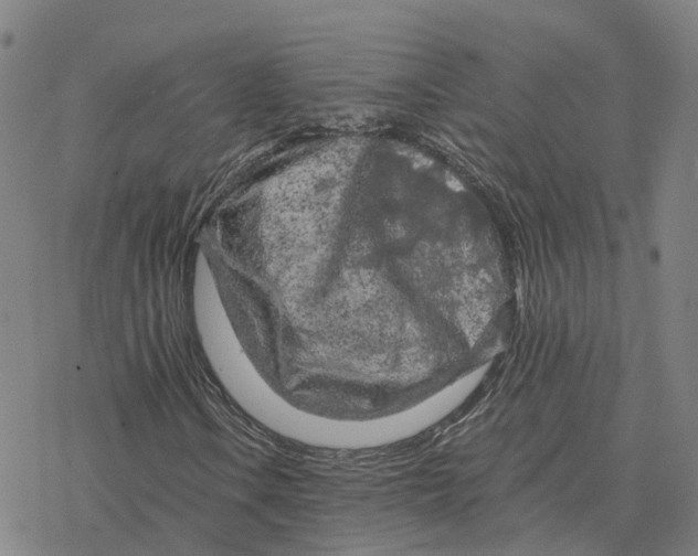 X0000076431106200610271726