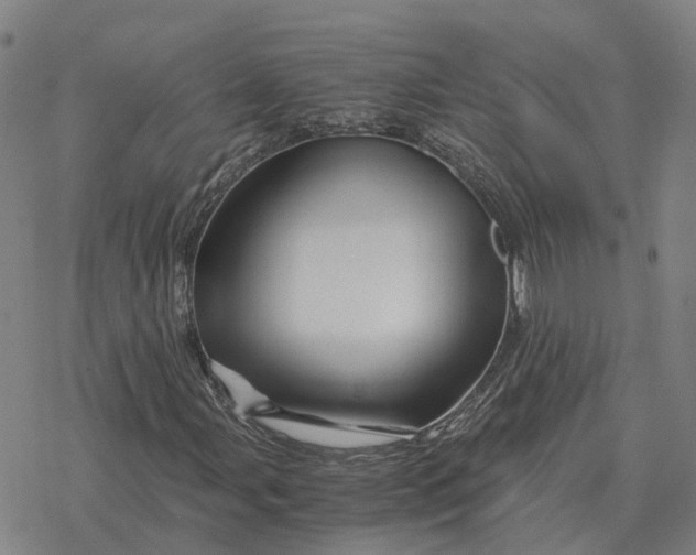 X0000076431107200610271726