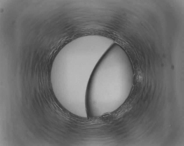 X0000076431108200610271726