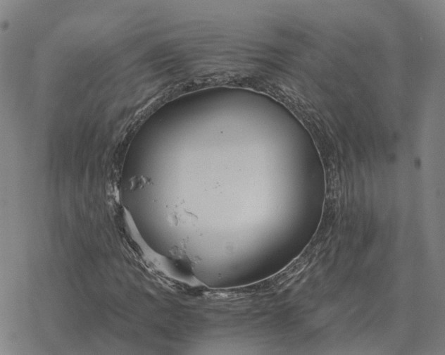 X0000076431109200610271726