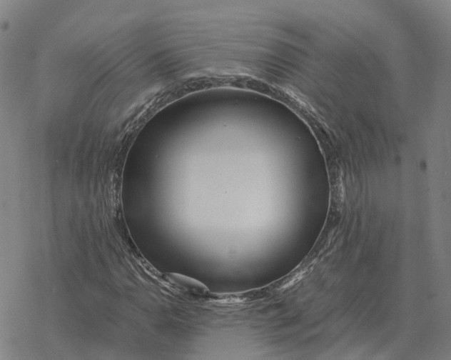 X0000076431110200610271726