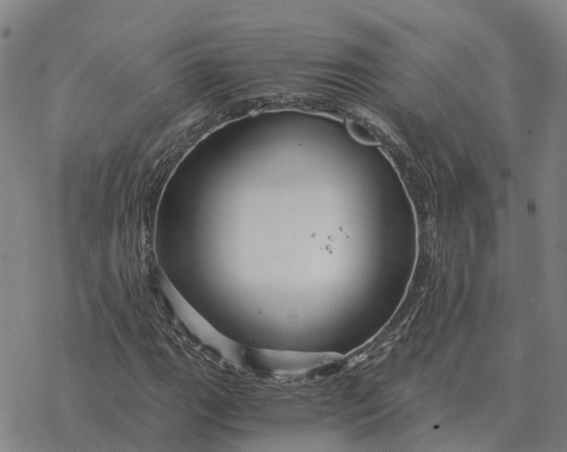 X0000076431111200610271726