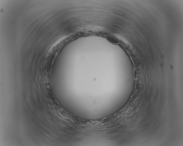 X0000076431112200610271726