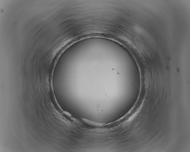 X0000076431113200610271726