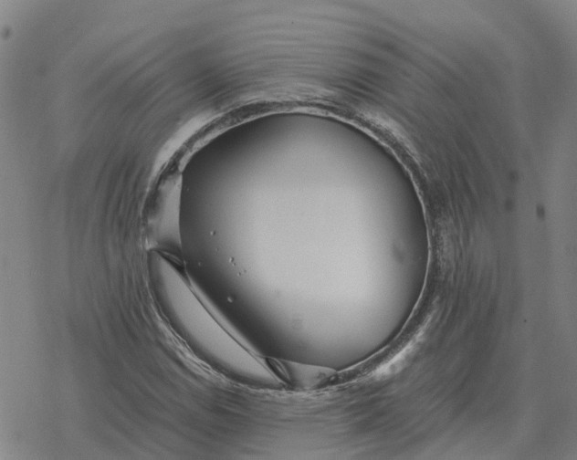 X0000076431114200610271726