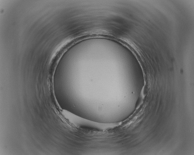 X0000076431115200610271726