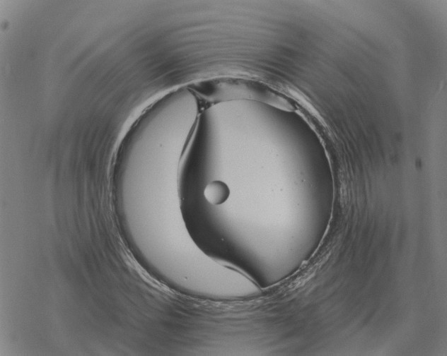 X0000076431116200610271726