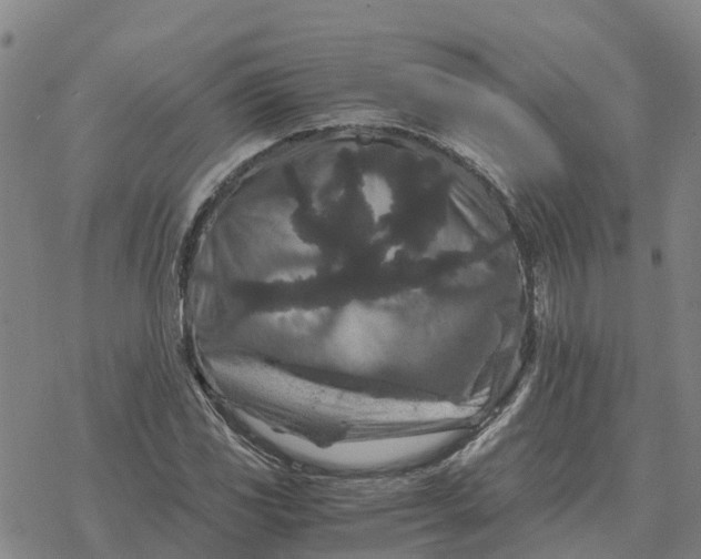 X0000076431117200610271726