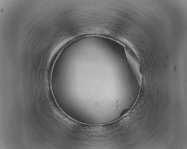 X0000076431120200610271726