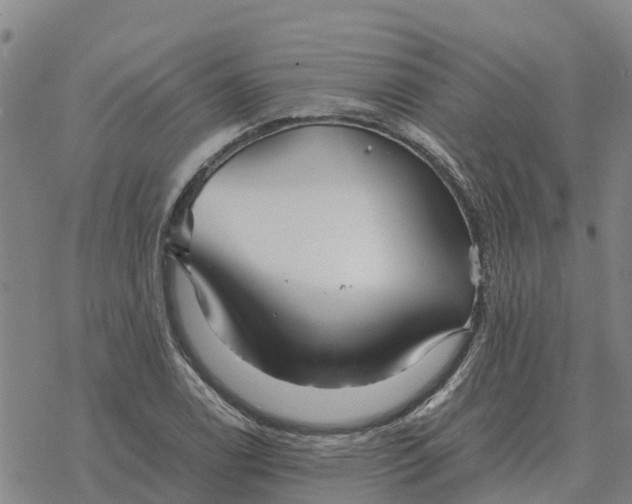 X0000076431122200610271726