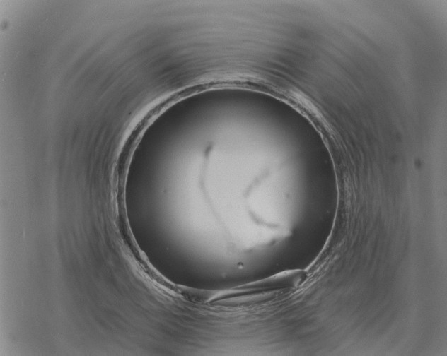 X0000076431124200610271726