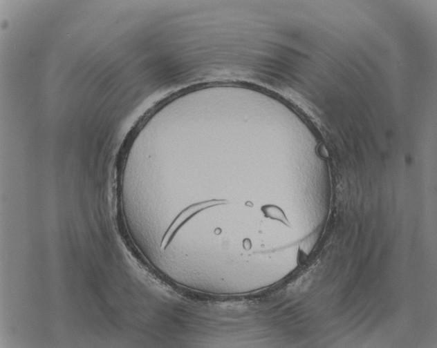 X0000076431126200610271726