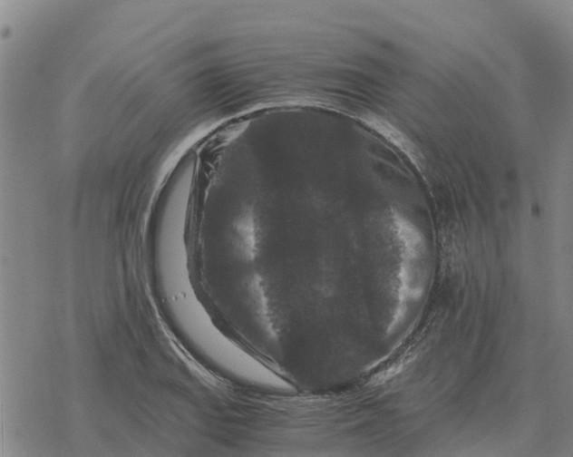 X0000076431127200610271726