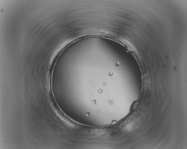 X0000076431128200610271726