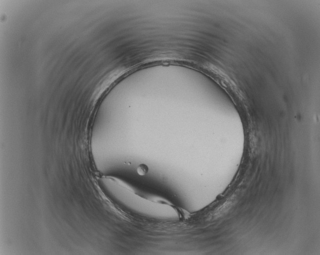 X0000076431129200610271726