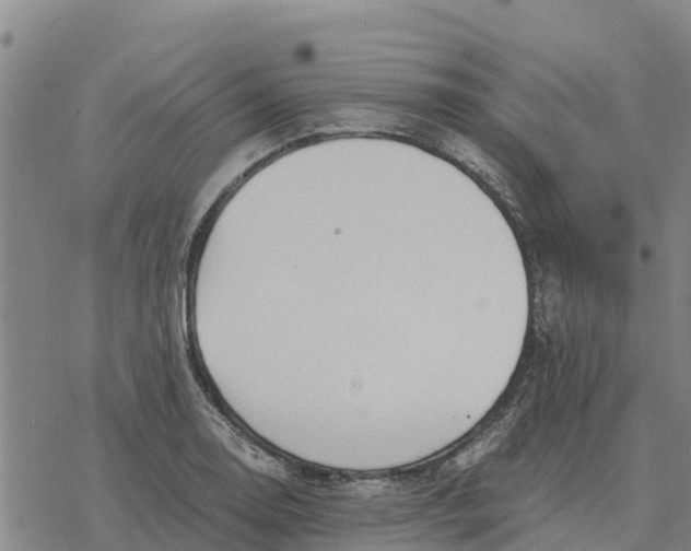 X0000076431130200610271726