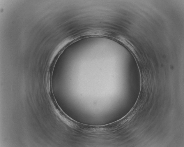 X0000076431131200610271726