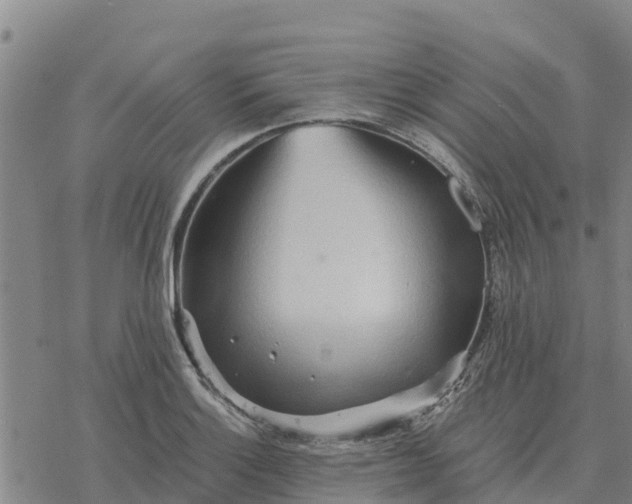 X0000076431132200610271726