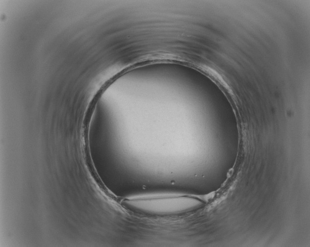 X0000076431133200610271726