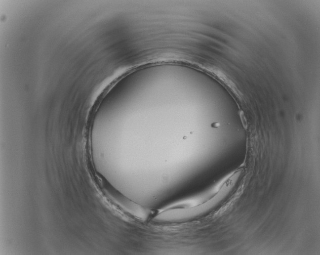 X0000076431134200610271726