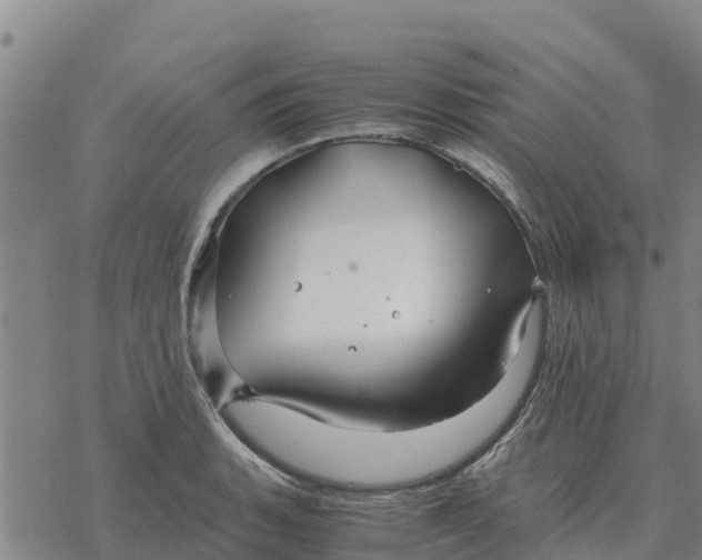 X0000076431135200610271726