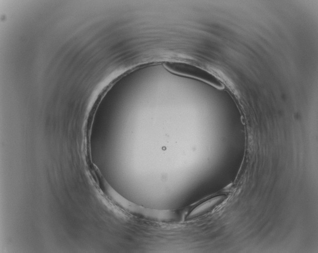 X0000076431136200610271726