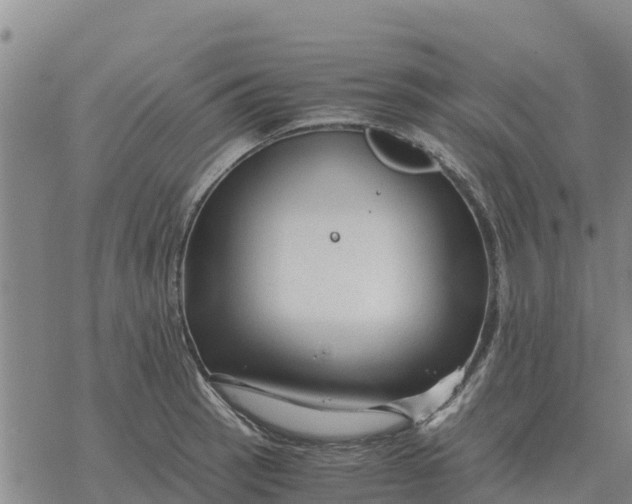 X0000076431137200610271726