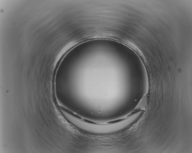 X0000076431138200610271726