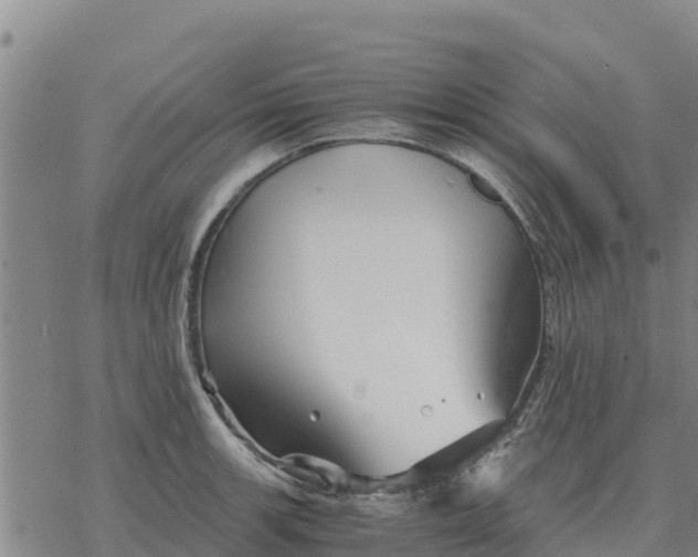 X0000076431139200610271726