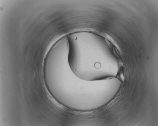 X0000076431140200610271727