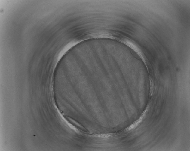 X0000076431141200610271727