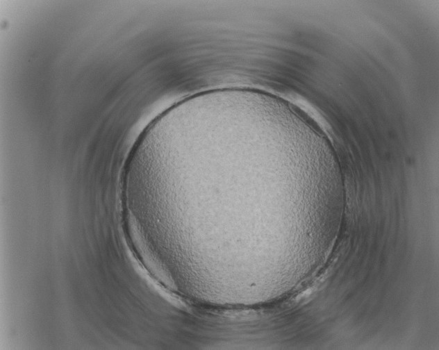 X0000076431142200610271727