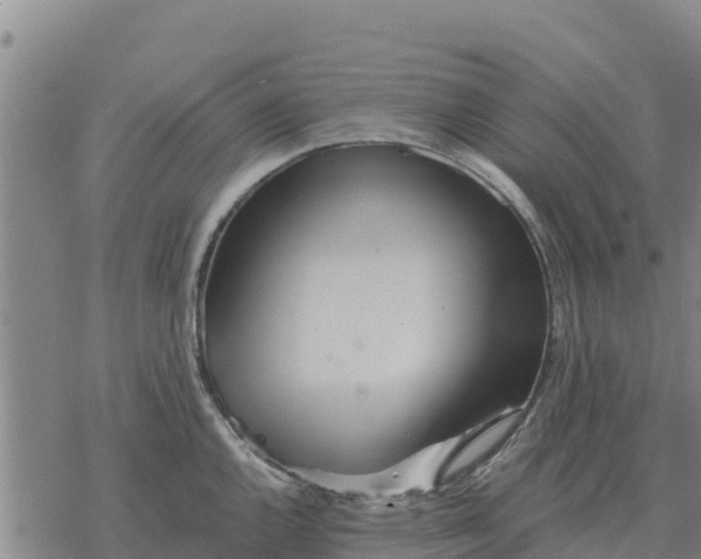 X0000076431144200610271727