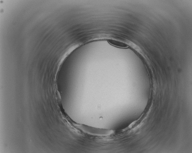 X0000076431145200610271727