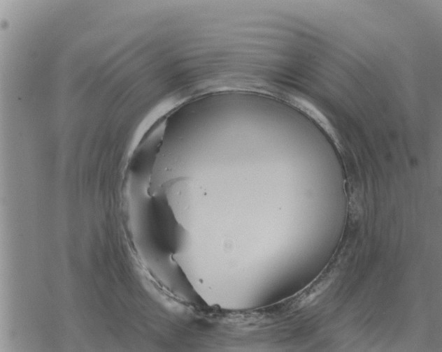 X0000076431146200610271727