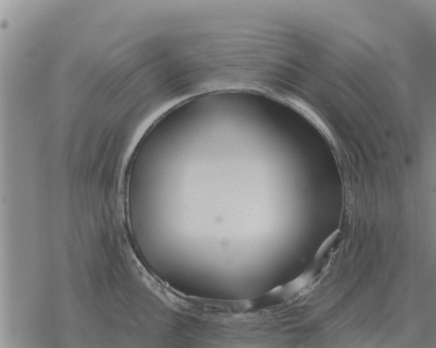 X0000076431148200610271727