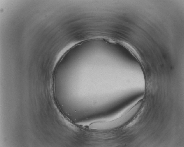 X0000076431149200610271727