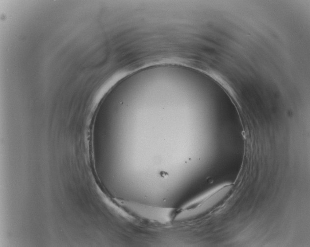 X0000076431151200610271727