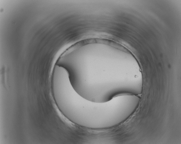 X0000076431152200610271727