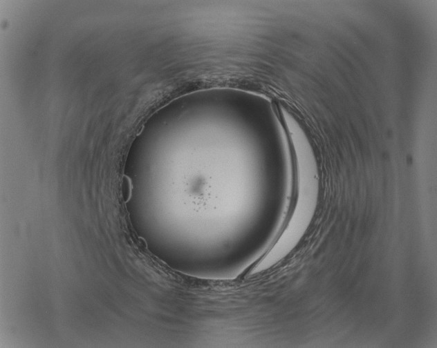 X0000076431153200610271726