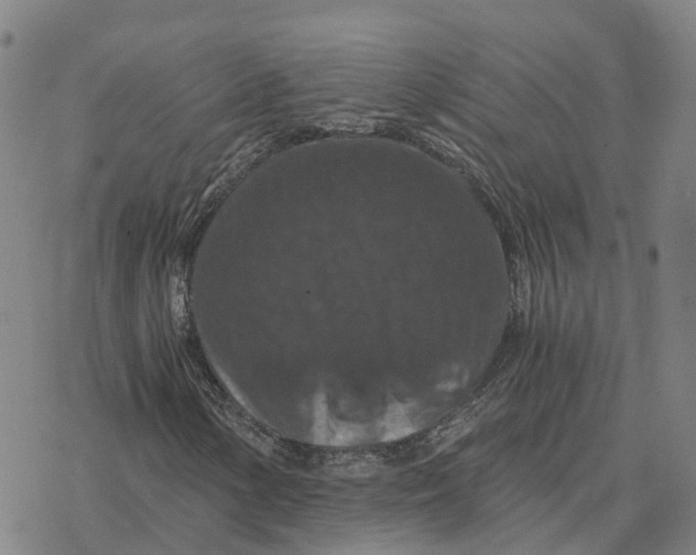 X0000076431154200610271726