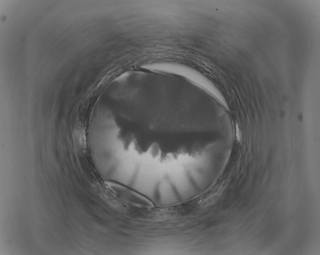 X0000076431155200610271726