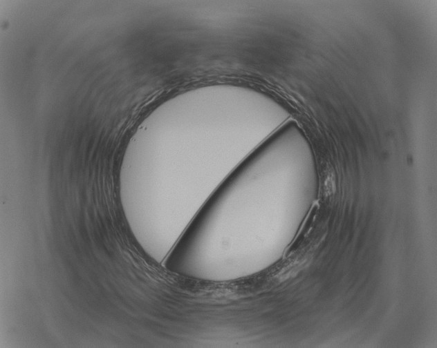 X0000076431156200610271726