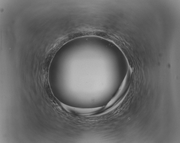 X0000076431157200610271726