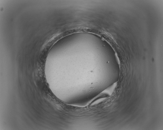 X0000076431159200610271726