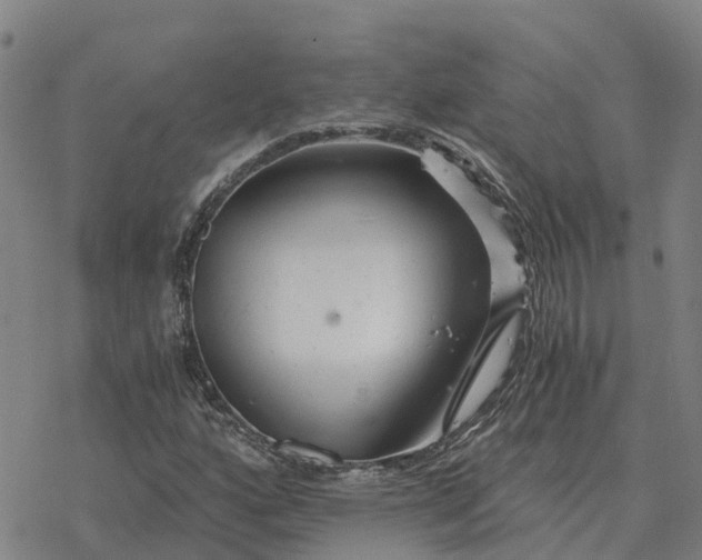 X0000076431160200610271726