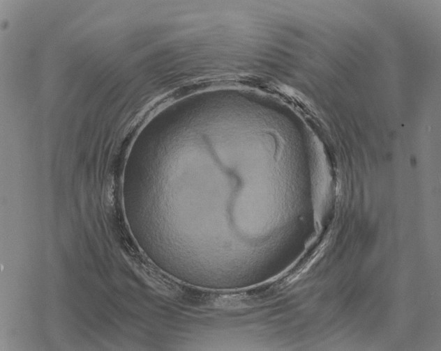 X0000076431161200610271726