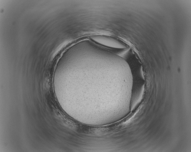 X0000076431163200610271726