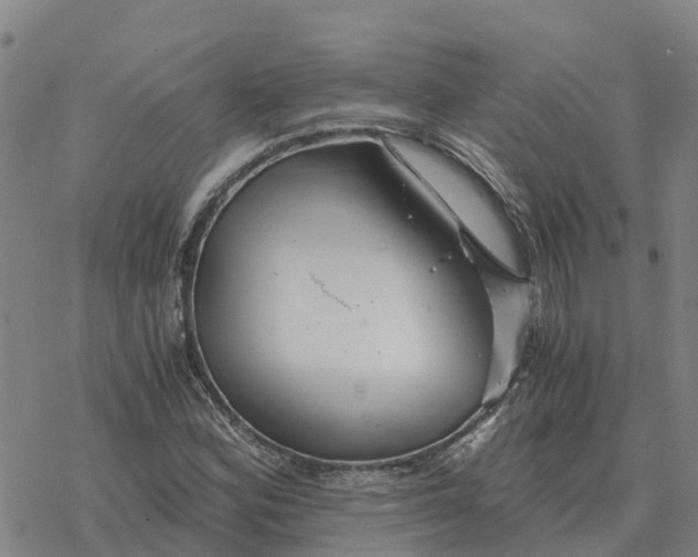 X0000076431164200610271726